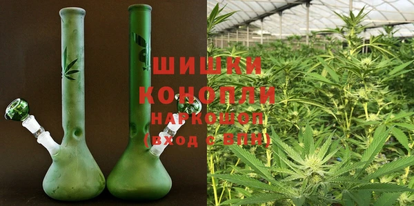 ПСИЛОЦИБИНОВЫЕ ГРИБЫ Алексин