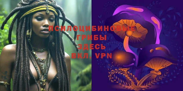 ПСИЛОЦИБИНОВЫЕ ГРИБЫ Алексин