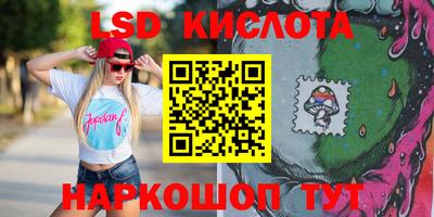 шишки Кингисепп