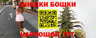 шишки Кингисепп