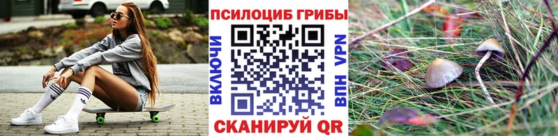 Галлюциногенные грибы GOLDEN TEACHER  omg рабочий сайт  Бирск 