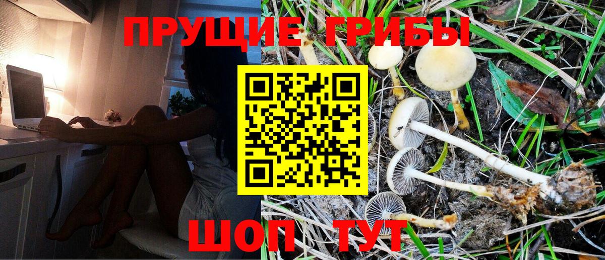 магазин  наркотиков  Вход с VPN  Бирск  Псилоцибиновые грибы Magic Shrooms 